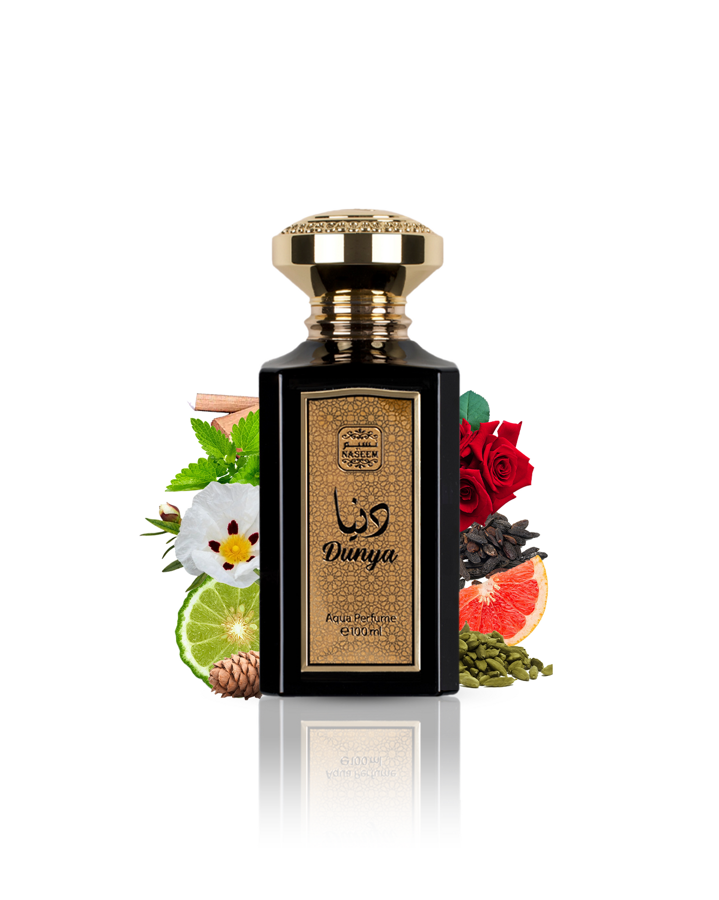 Dunya aqua perfume bottle enveloped by Bergamot, Cardamom, and Grapefruit.