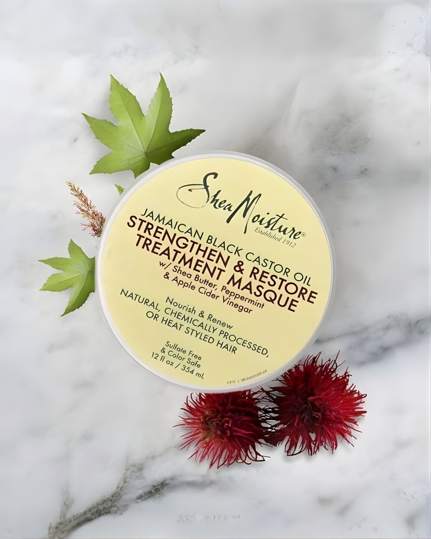 Top-down view of Shea Moisture Jamaican Black Castor Oil Strengthen and Restore Treatment Masque on a marble surface with decorative green leaves and red castor beans.