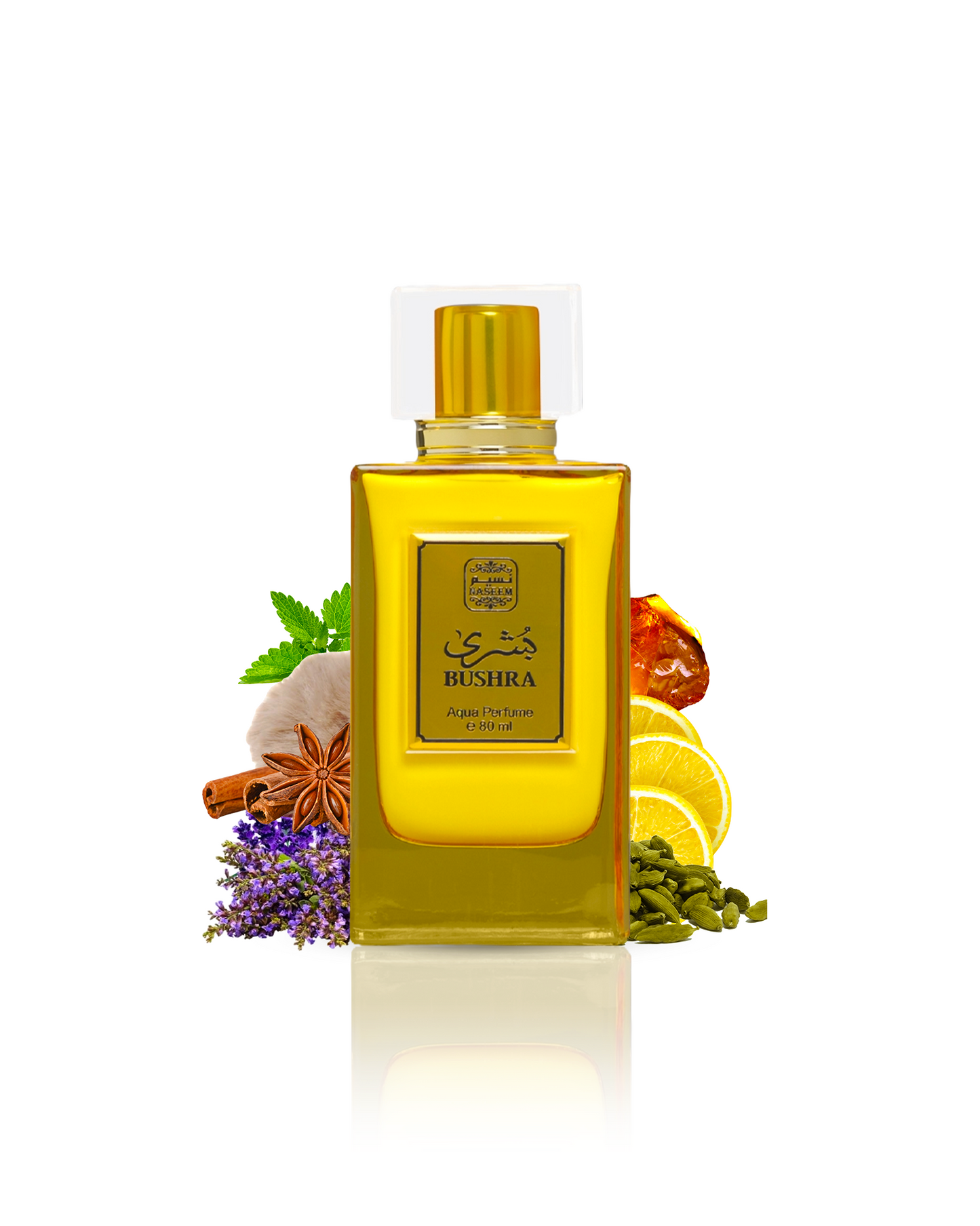 Bushra-aqua-Perfume-Bottle-Enveloped-by-Notes-of-cardamom_cinnamon-patchouli.