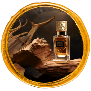Perfume bottle elegantly displayed atop an agarwood trunk, set against a dark backdrop.