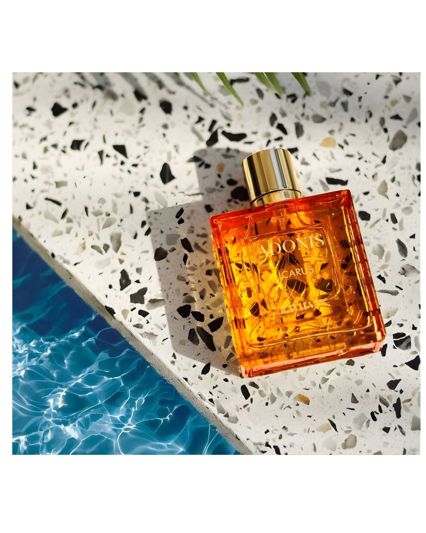 Adonis Icarus perfume bottle resting on a white terrazzo surface with black specks, next to bright blue shimmering pool water, conveying a fresh, summer fragrance feel.