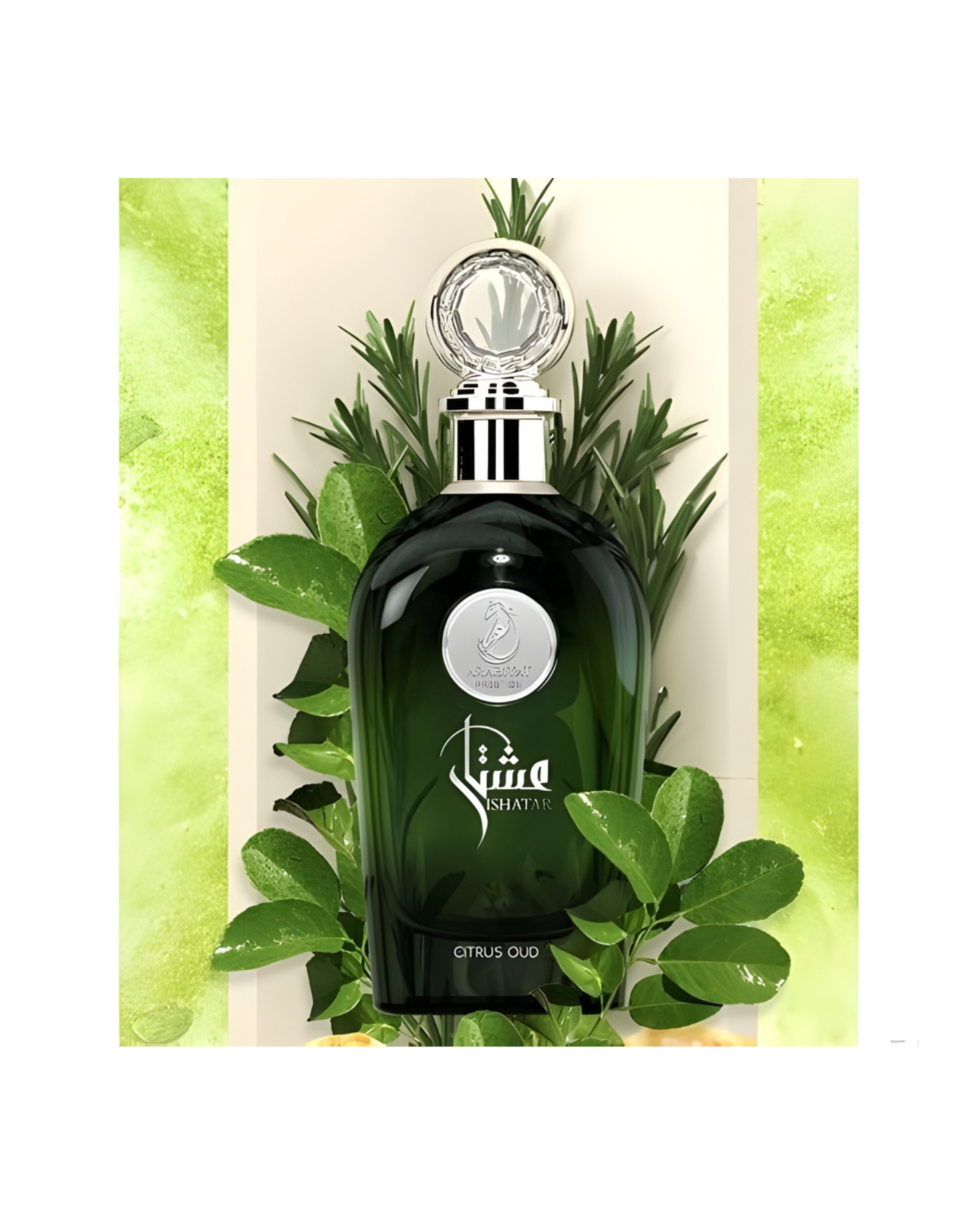 The dark green and black gradient Ishatar Citrus Oud Edp perfume bottle is set against a cream background, framed by vibrant green citrus leaves and sprigs of rosemary. The composition emphasizes the fresh, herbal, and citrus notes of the fragrance.